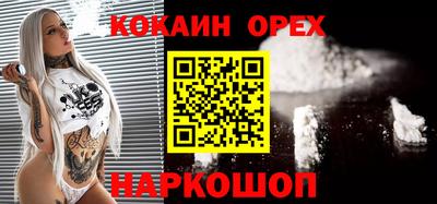 шишки Кандалакша
