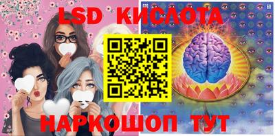ПСИЛОЦИБИНОВЫЕ ГРИБЫ Кингисепп