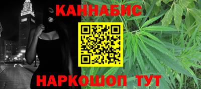 шишки Кандалакша