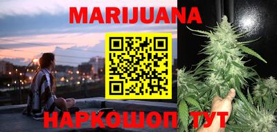 тгк Камышлов