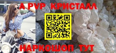 шишки Кандалакша