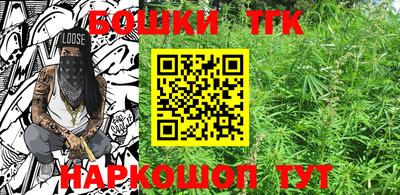тгк Камышлов