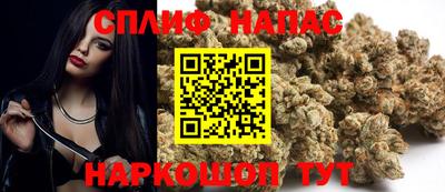 тгк Камышлов