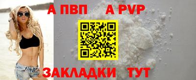 шишки Кандалакша