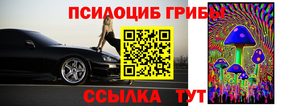 Кисловодск  Галлюциногенные грибы мухоморы  Вход с VPN 
