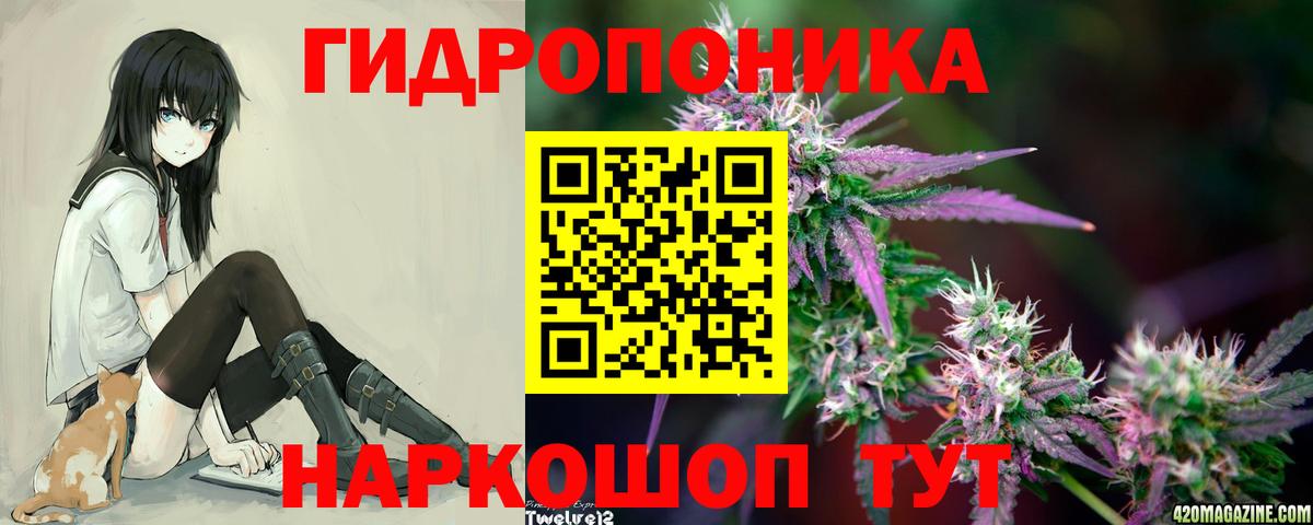 Бошки Шишки марихуана Кисловодск